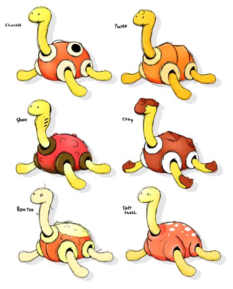 what is shuckle based on.